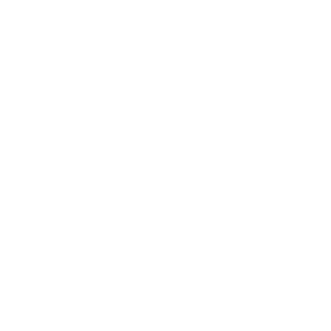 YOUNG COLLECTORS MX